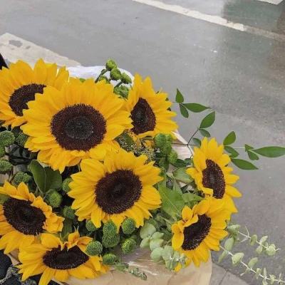 开云·全站app(kaiyun)