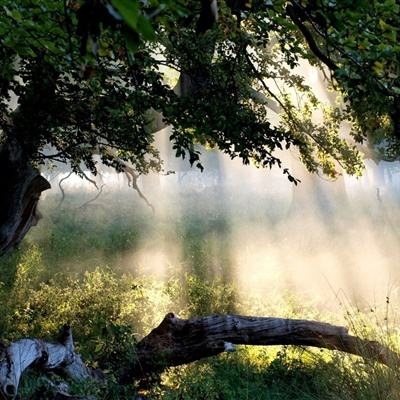 台湾福星彩手机app下载